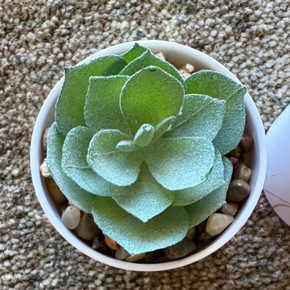 Elegant Green Faux Succulent Planters